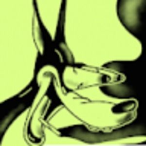 Meet your Posher, Liam